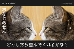 女の子の目線に立ったお店づくり