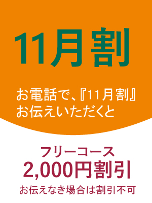 11月割